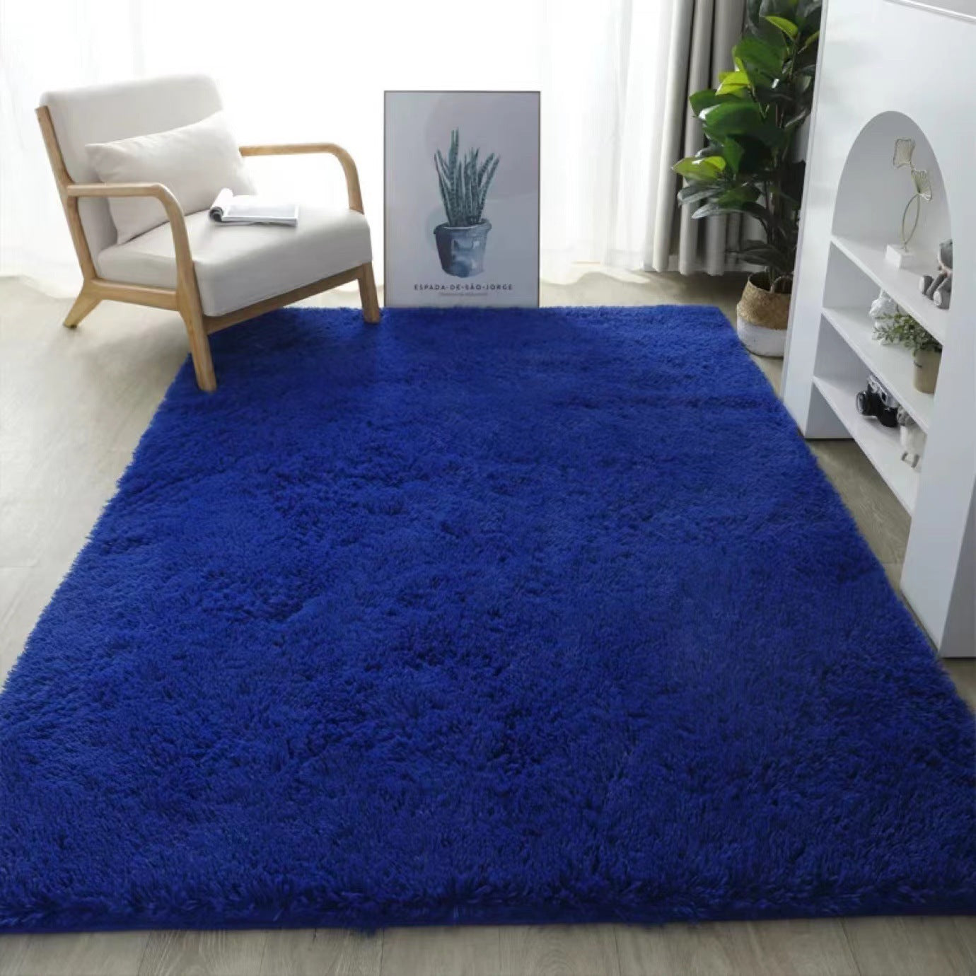 Plush home living room sofa room carpet